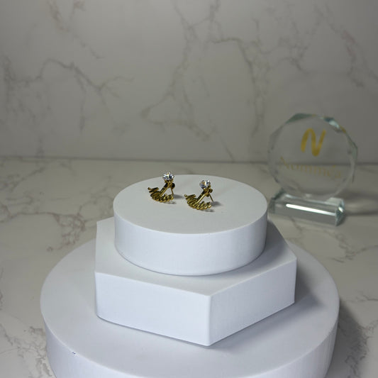 Brincos com Nome e Brilhante