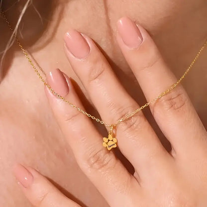 Colar Pata de Cão com Nome