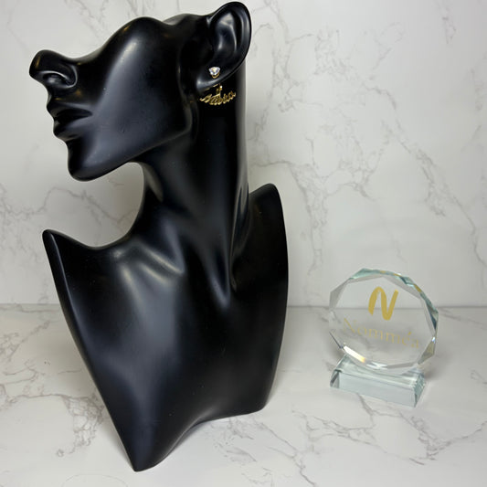 Brincos com Nome e Brilhante