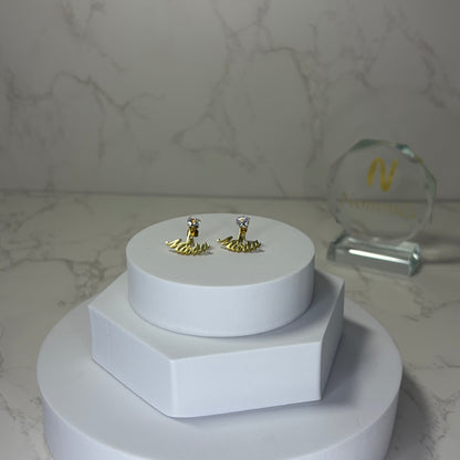 Brincos com Nome e Brilhante