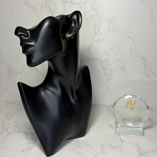 Brincos Manuscrito com Nome